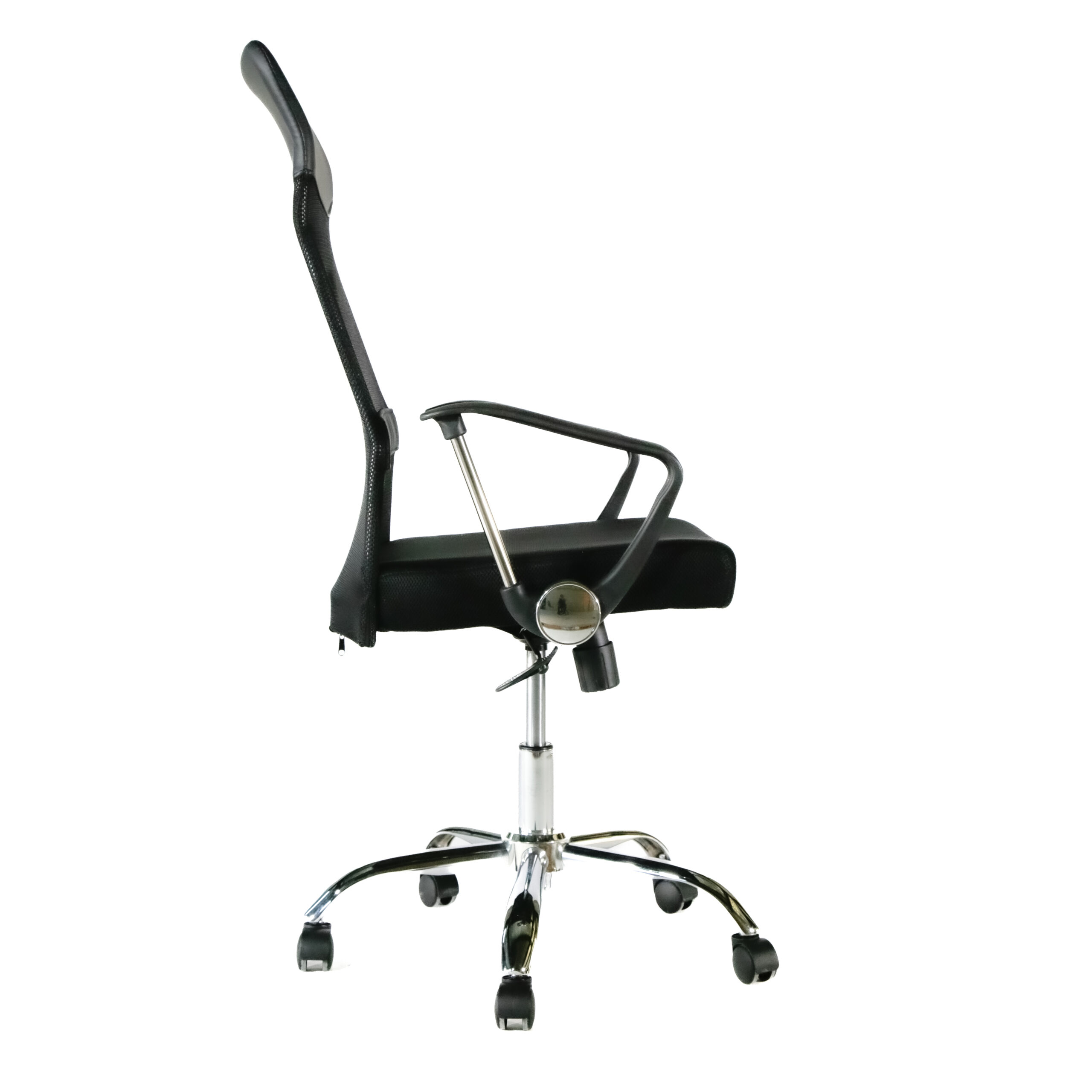 W1007 - Imagen 2